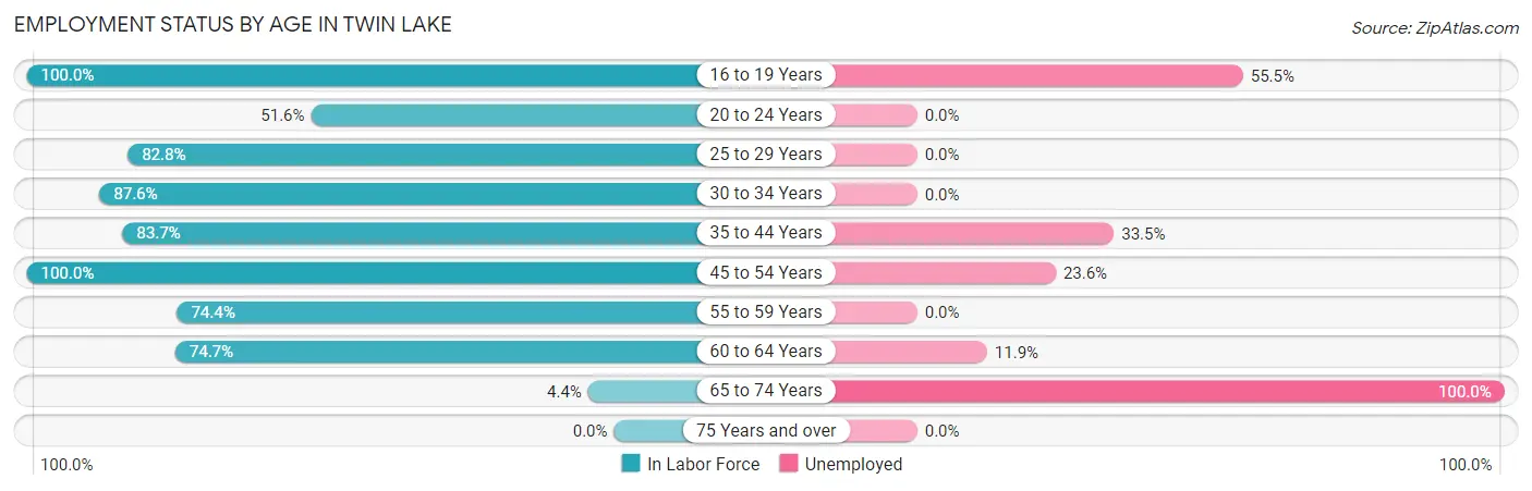 Employment Status by Age in Twin Lake
