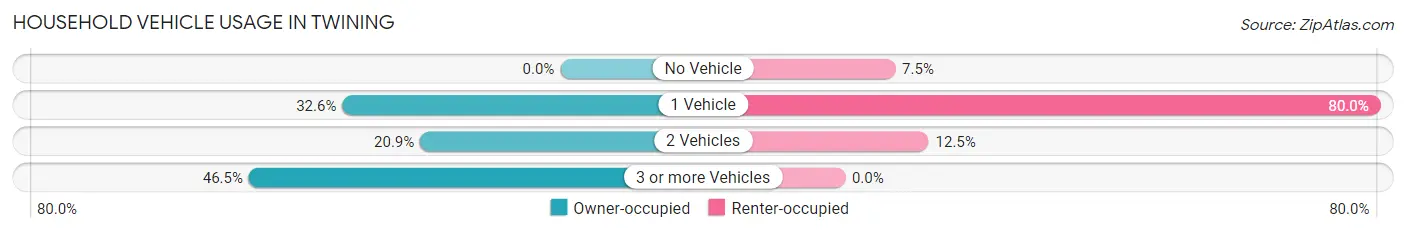 Household Vehicle Usage in Twining