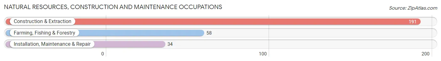 Natural Resources, Construction and Maintenance Occupations in Vassar