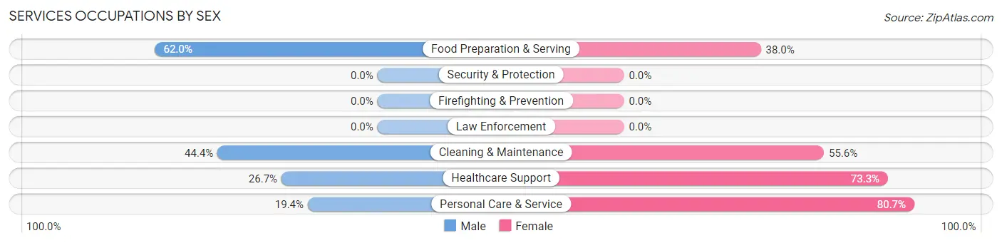 Services Occupations by Sex in Vassar