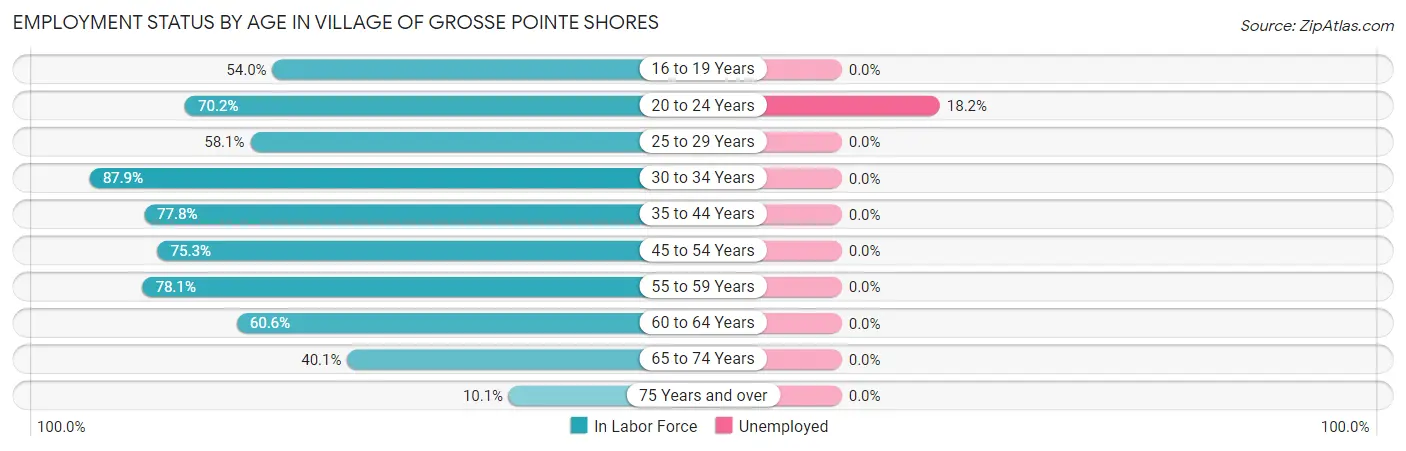 Employment Status by Age in Village of Grosse Pointe Shores