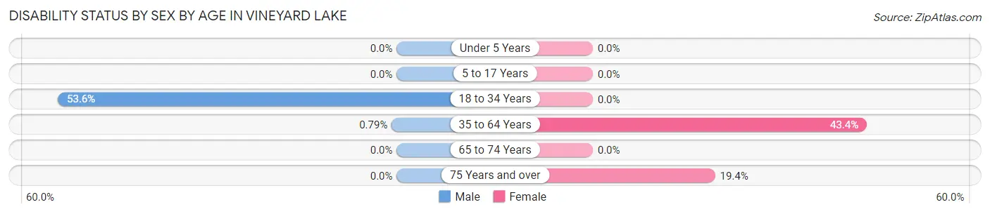 Disability Status by Sex by Age in Vineyard Lake