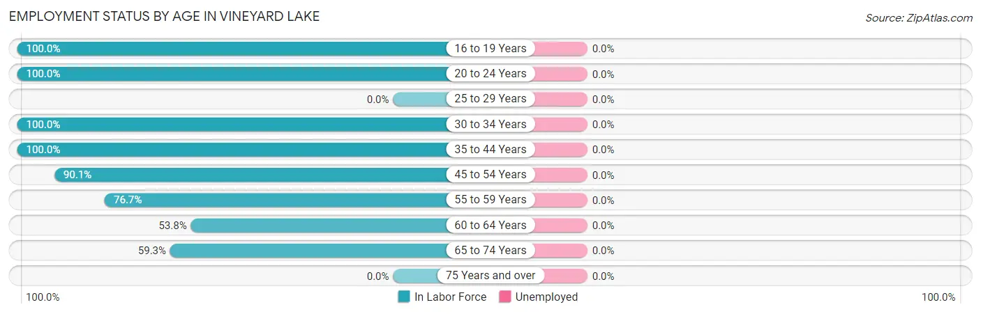 Employment Status by Age in Vineyard Lake