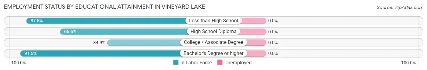 Employment Status by Educational Attainment in Vineyard Lake