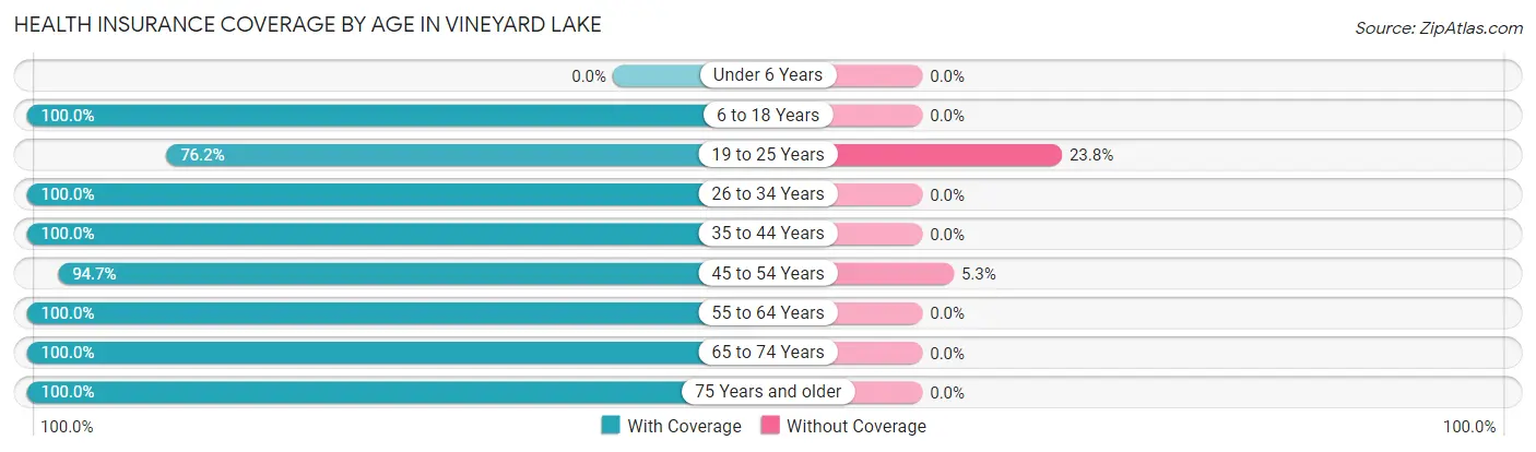 Health Insurance Coverage by Age in Vineyard Lake