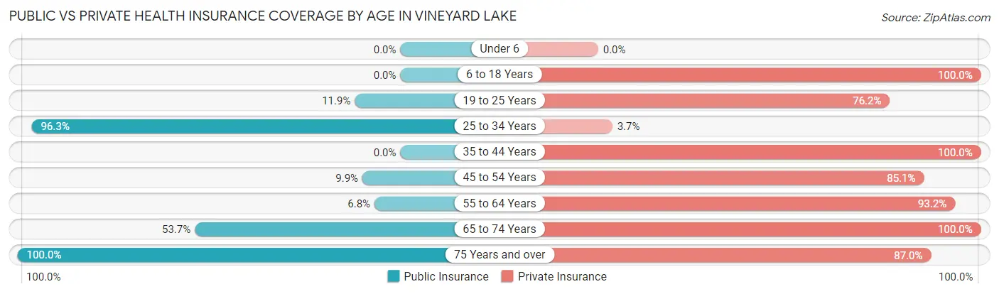 Public vs Private Health Insurance Coverage by Age in Vineyard Lake