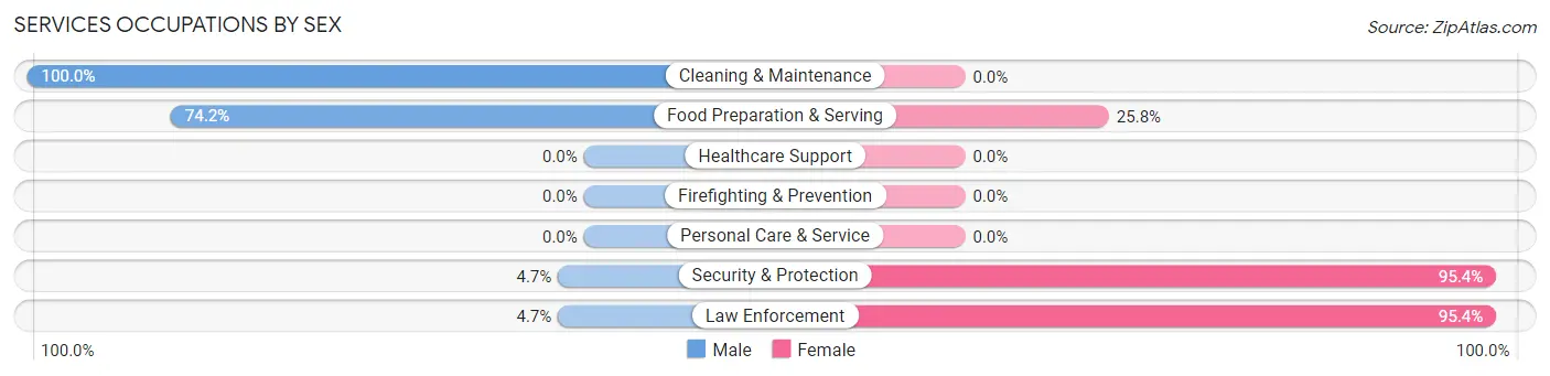 Services Occupations by Sex in Vineyard Lake