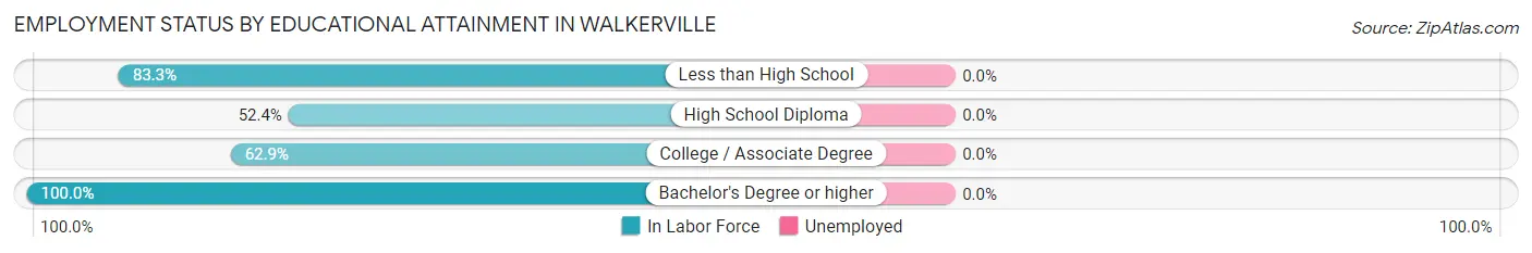 Employment Status by Educational Attainment in Walkerville
