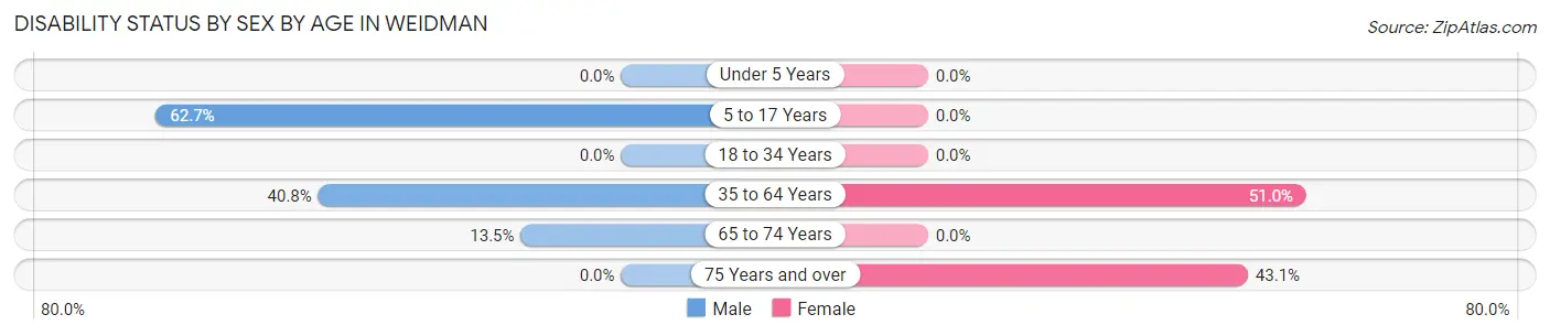 Disability Status by Sex by Age in Weidman