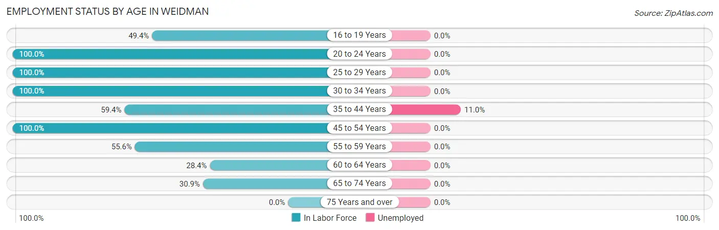 Employment Status by Age in Weidman