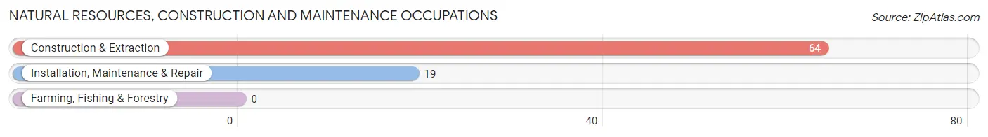 Natural Resources, Construction and Maintenance Occupations in Weidman