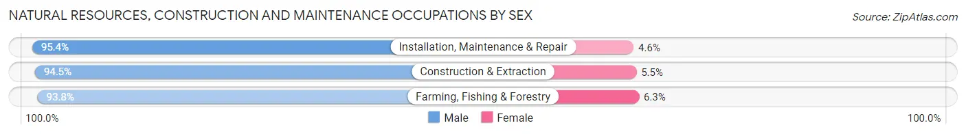 Natural Resources, Construction and Maintenance Occupations by Sex in Westland