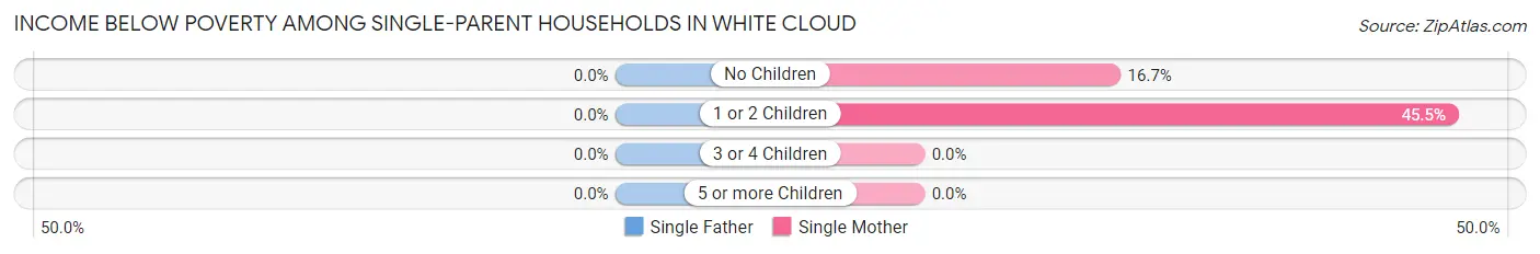 Income Below Poverty Among Single-Parent Households in White Cloud