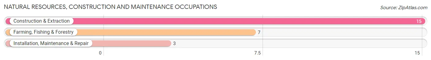 Natural Resources, Construction and Maintenance Occupations in White Cloud