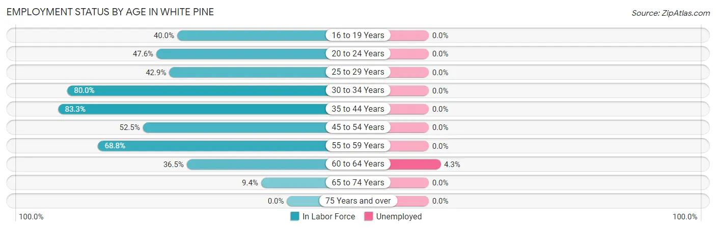 Employment Status by Age in White Pine