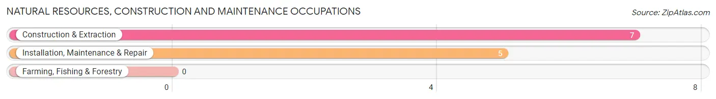 Natural Resources, Construction and Maintenance Occupations in White Pine