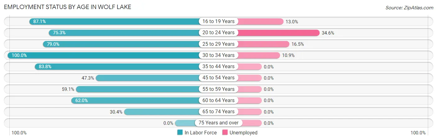 Employment Status by Age in Wolf Lake