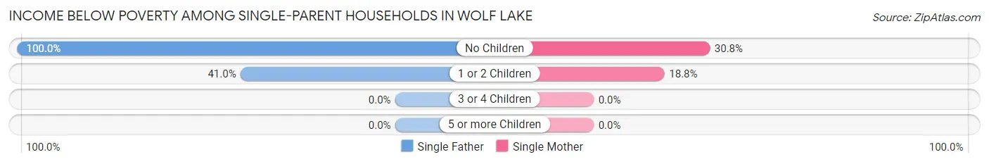 Income Below Poverty Among Single-Parent Households in Wolf Lake