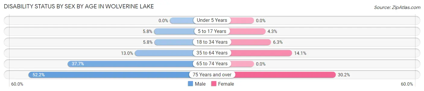 Disability Status by Sex by Age in Wolverine Lake