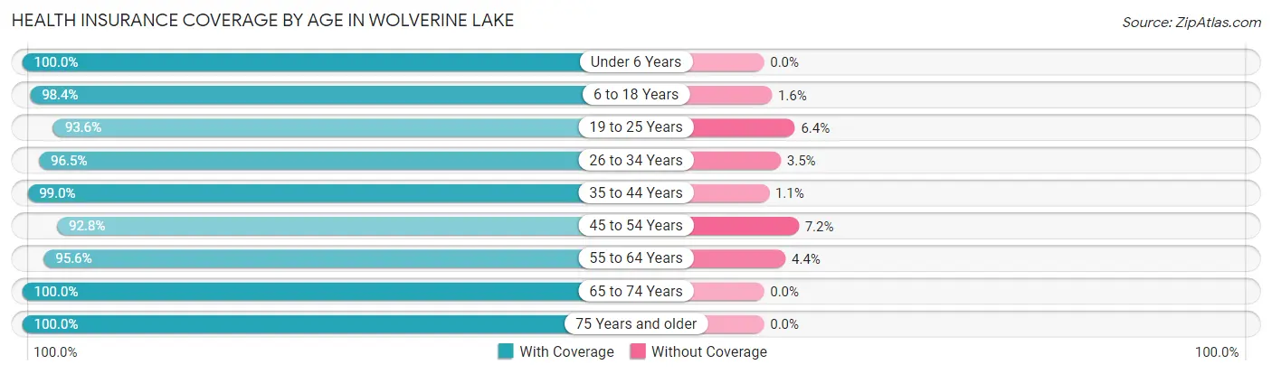 Health Insurance Coverage by Age in Wolverine Lake