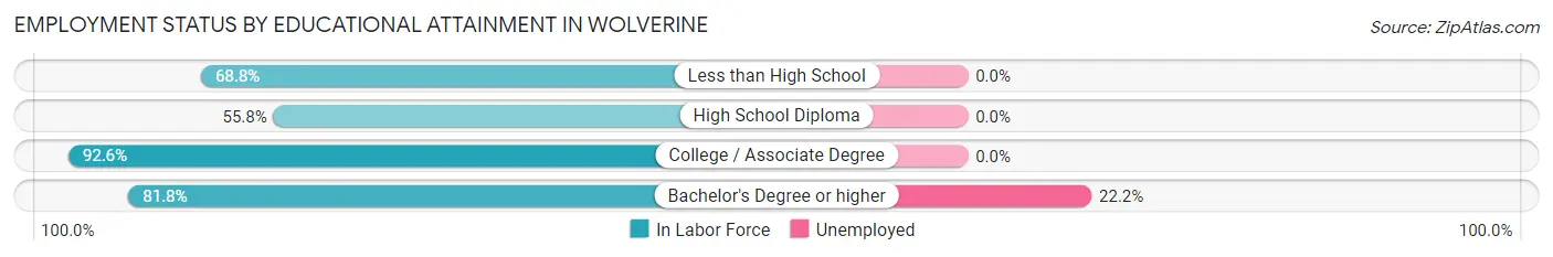 Employment Status by Educational Attainment in Wolverine