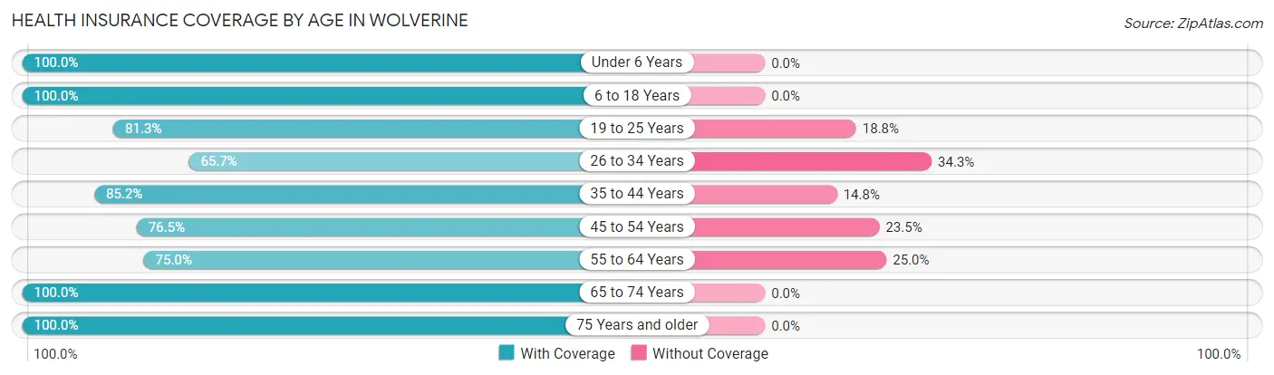 Health Insurance Coverage by Age in Wolverine