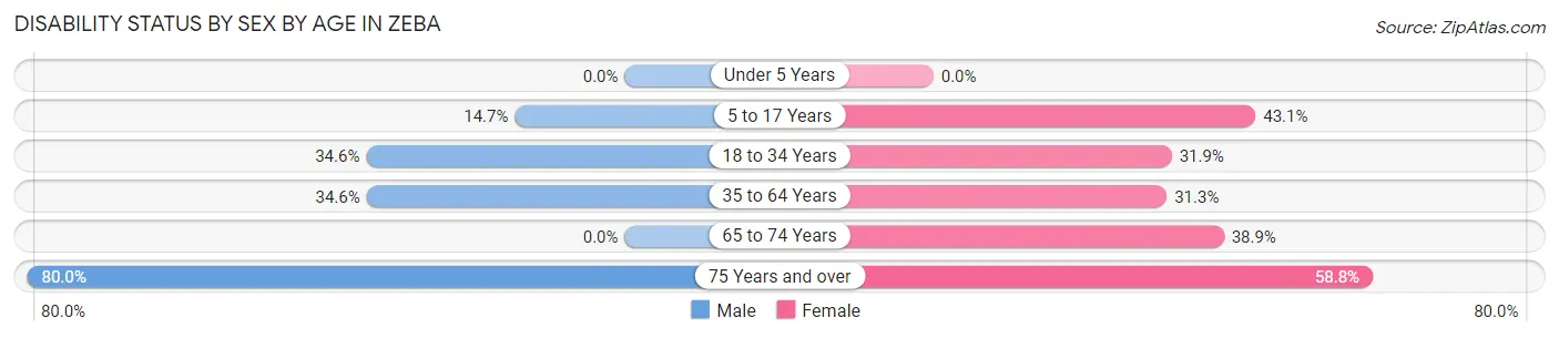 Disability Status by Sex by Age in Zeba