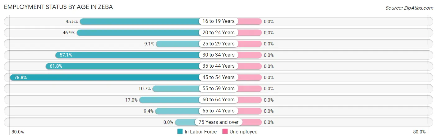 Employment Status by Age in Zeba