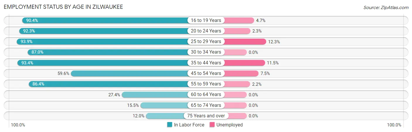 Employment Status by Age in Zilwaukee