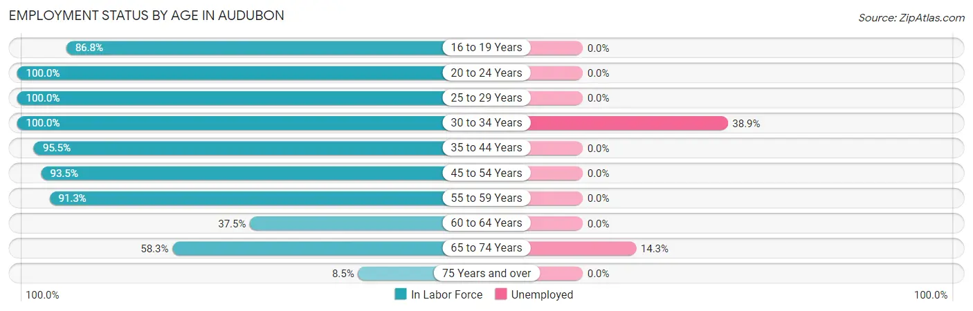 Employment Status by Age in Audubon