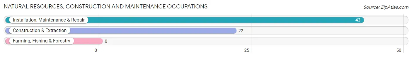 Natural Resources, Construction and Maintenance Occupations in Audubon