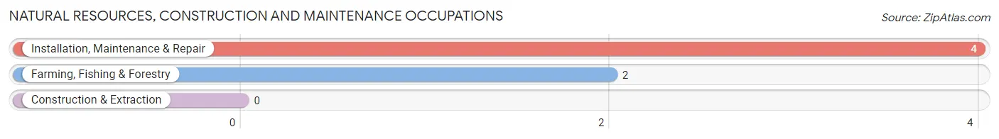 Natural Resources, Construction and Maintenance Occupations in Avoca