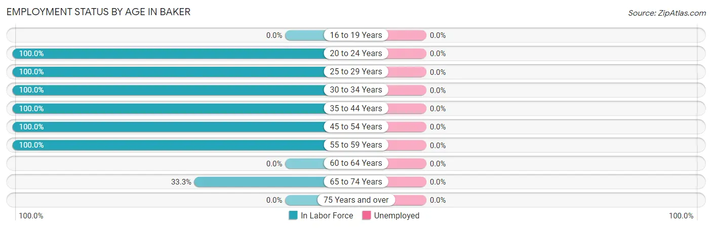Employment Status by Age in Baker