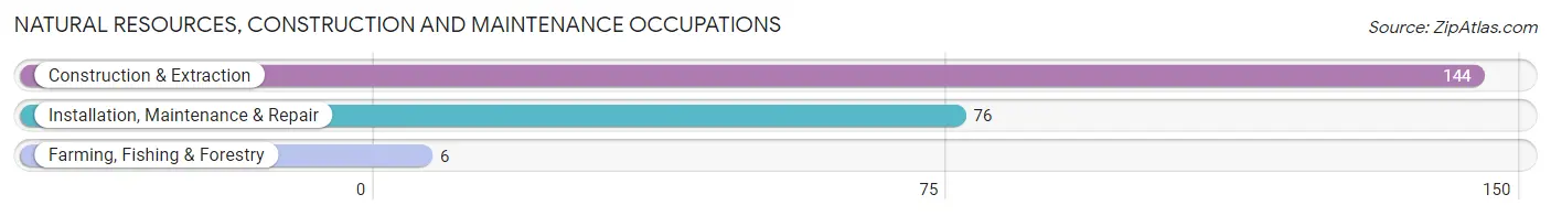 Natural Resources, Construction and Maintenance Occupations in Barnesville