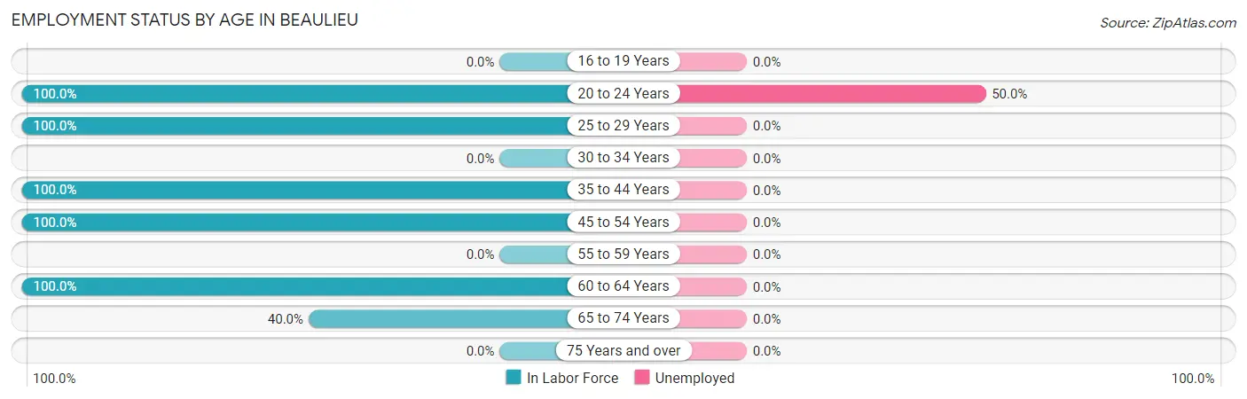 Employment Status by Age in Beaulieu