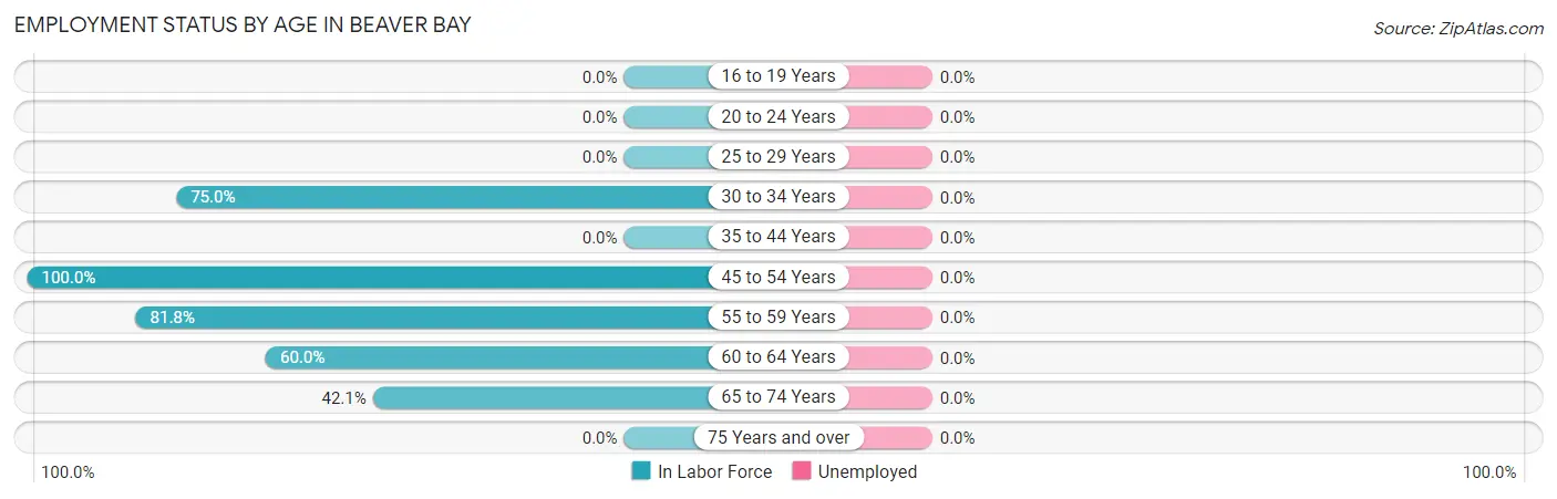 Employment Status by Age in Beaver Bay