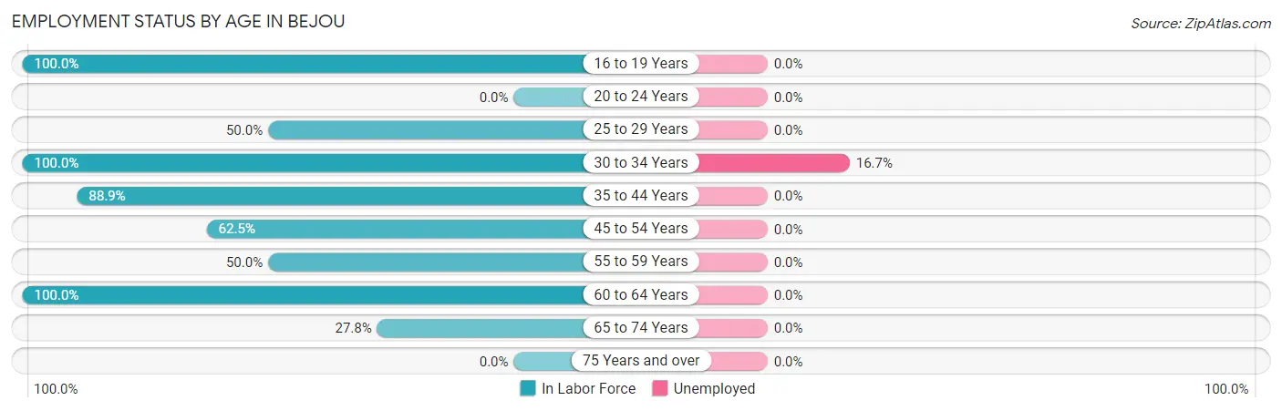 Employment Status by Age in Bejou