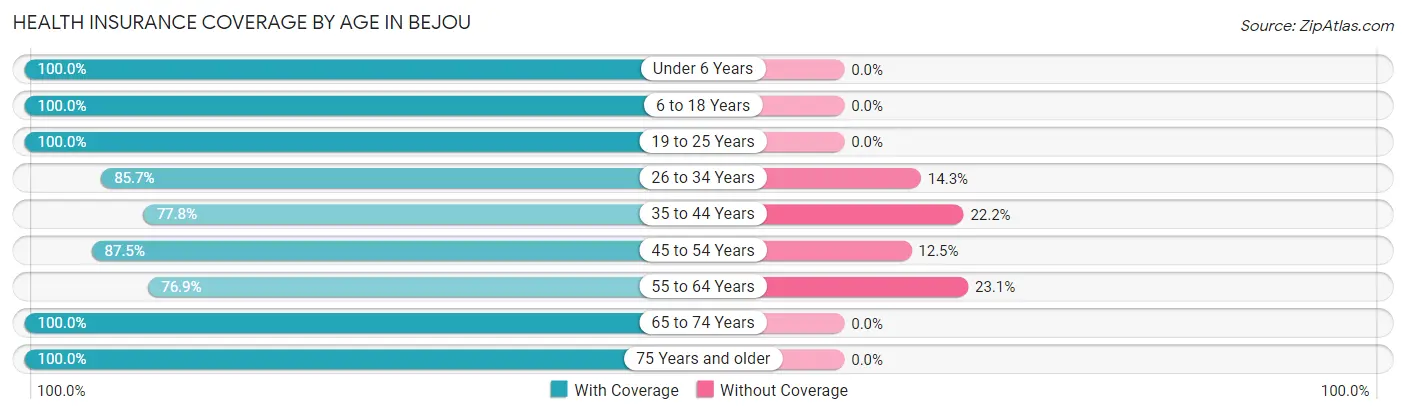 Health Insurance Coverage by Age in Bejou