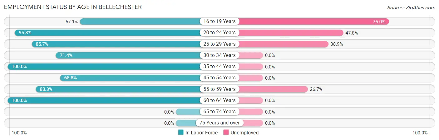Employment Status by Age in Bellechester