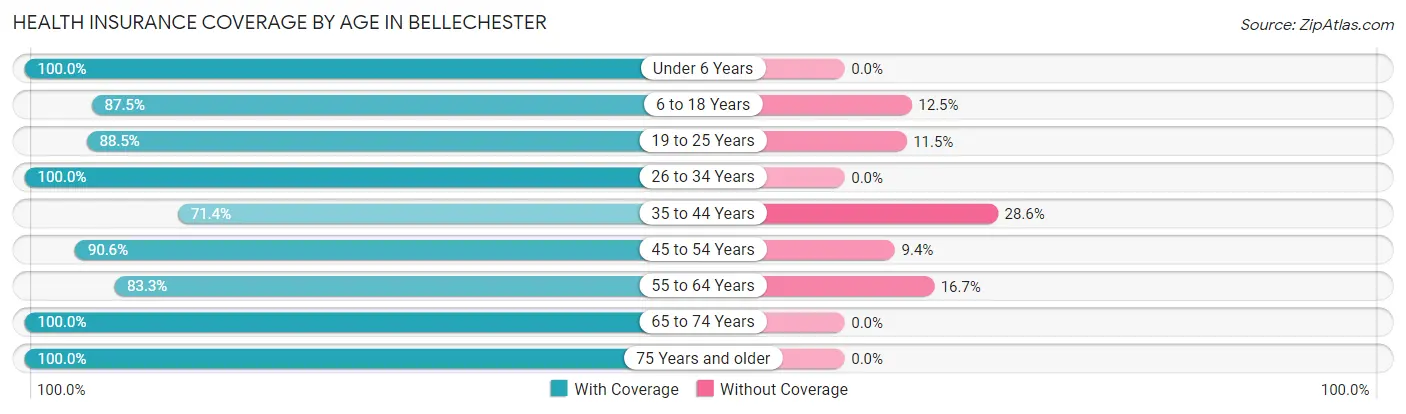 Health Insurance Coverage by Age in Bellechester