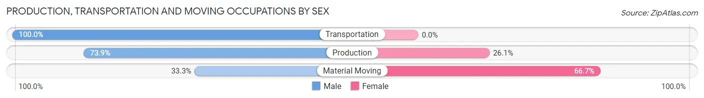 Production, Transportation and Moving Occupations by Sex in Bellechester