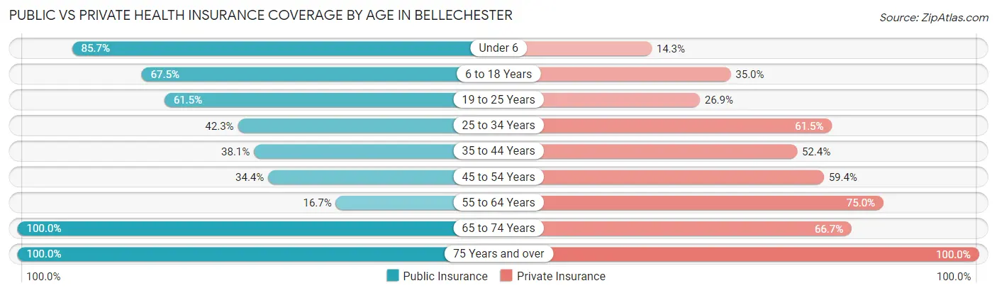 Public vs Private Health Insurance Coverage by Age in Bellechester