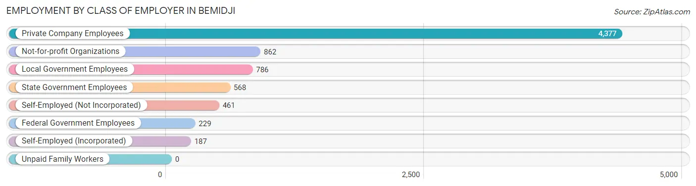 Employment by Class of Employer in Bemidji