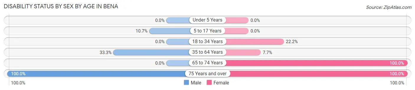 Disability Status by Sex by Age in Bena