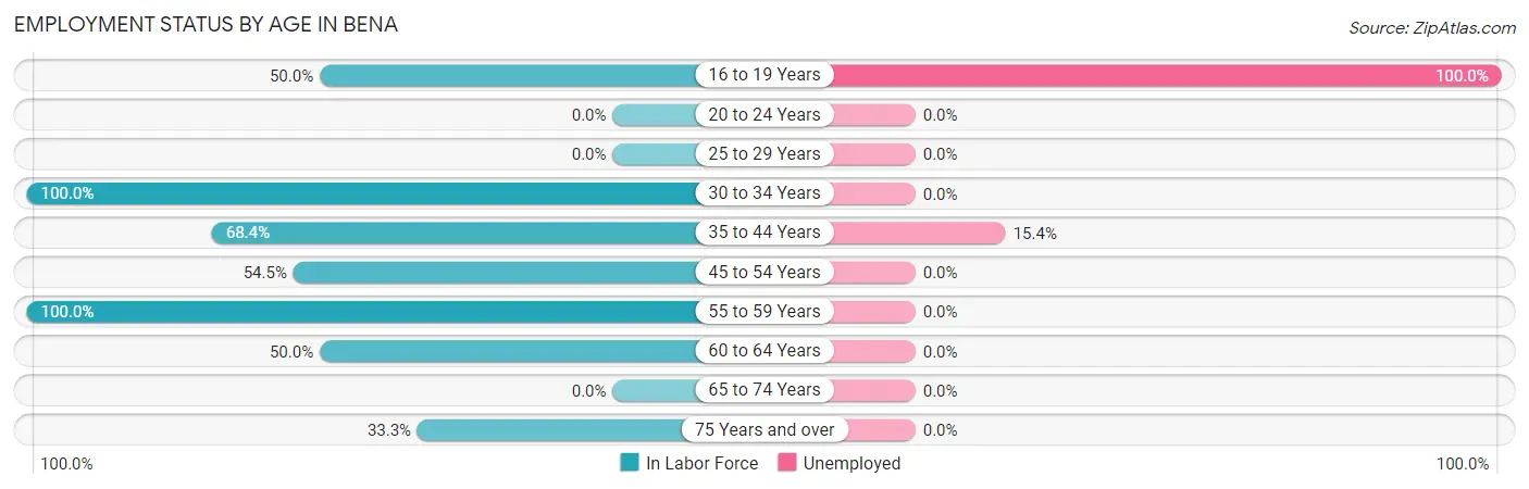 Employment Status by Age in Bena