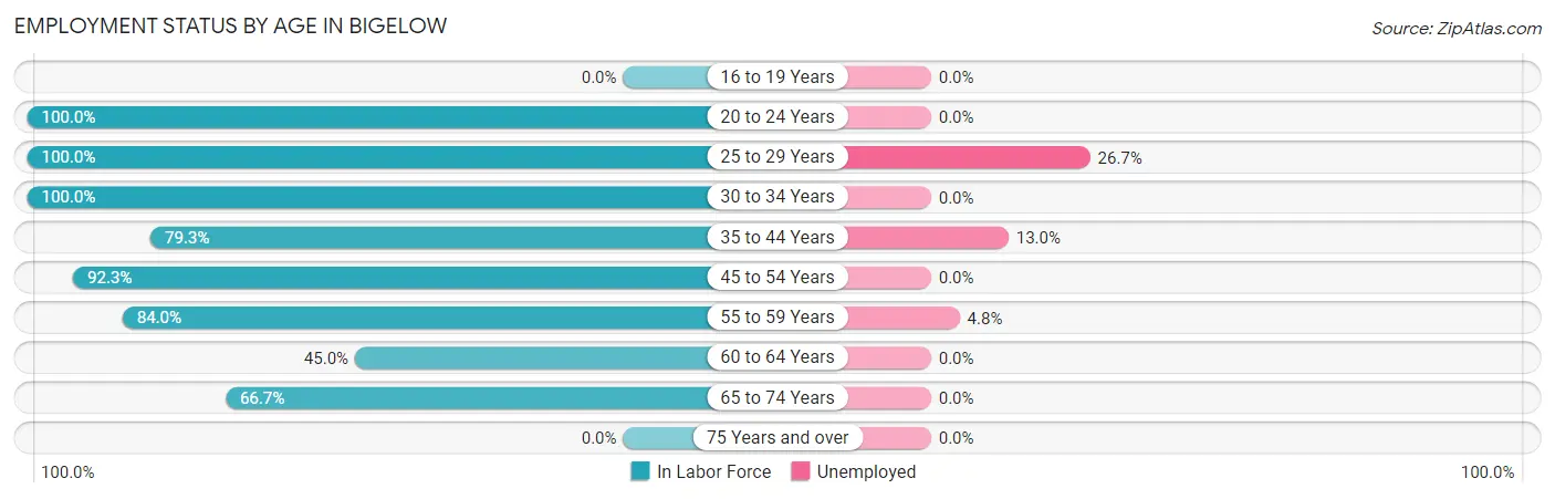 Employment Status by Age in Bigelow