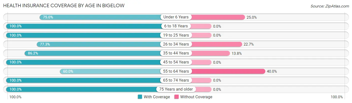 Health Insurance Coverage by Age in Bigelow