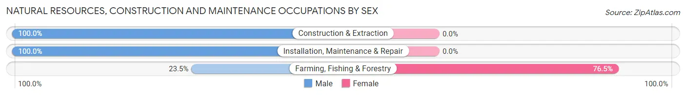 Natural Resources, Construction and Maintenance Occupations by Sex in Bigelow