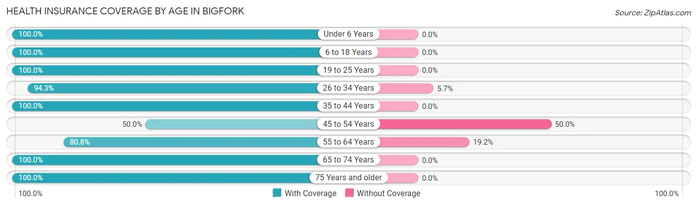 Health Insurance Coverage by Age in Bigfork