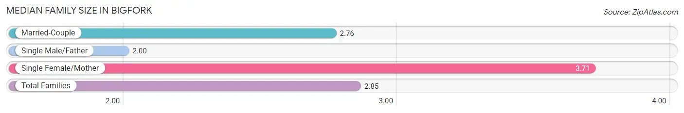 Median Family Size in Bigfork